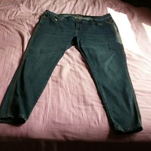 Size 20 Melissa McCarthy jeggings
